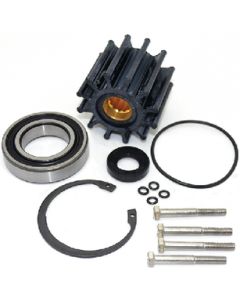 Johnson Pump Volvo A/Jp F-6 Repair Kit JPI 096000