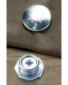 Taylor Pull Dot Female  4/Pk TAY 16401