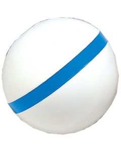 Taylor Sur Moor Buoy W/Bluestripe 30I TAY 46375