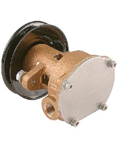 Sherwood Pump Pump-Engine-Kohler SHE G910P