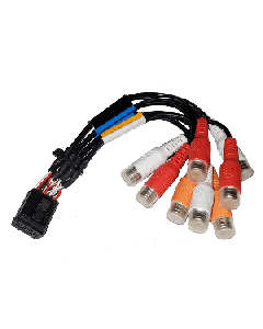 FUSION Wire Harness f/ MS-RA670 and MS-RA770 Stereo - Zone 1 and 2 (B Port-RCA) 010-12812-01