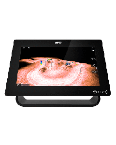 RAYMARINE AXIOM+ 9 RV 9" COMBO E70637