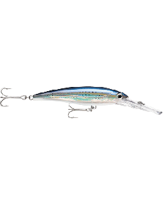 RAPALA X-RAP MAGNUM 15 SPOTTED MINNOW XRMAG15SPM