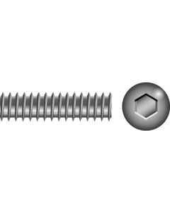 Seachoice Products 1/4-20X1/4 Skt Set Scr Ss 100/ Scp 01114